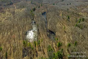 Vl W Weidman Rd, Weidman, MI 48893 - Photo 1