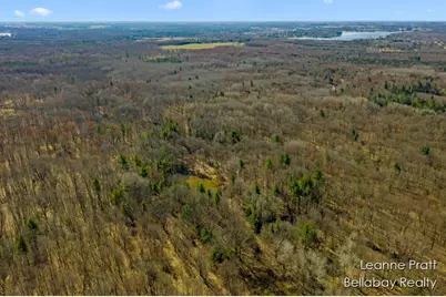 Vl W Weidman Road, Weidman, MI 48893 - Photo 6