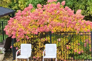 1704 Springwind Dr SW, Byron Center, MI 49315 - Photo 32