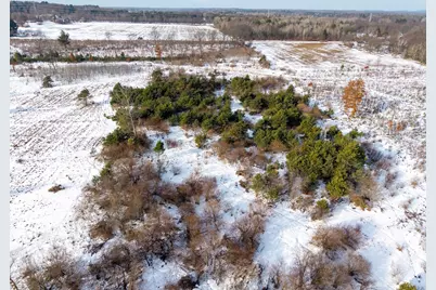 000 V/L N 88th Ave., Hart, MI 49420 - Photo 4