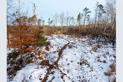 0000 V/L N E Monroe Rd., Hart, MI 49420 - Photo 6