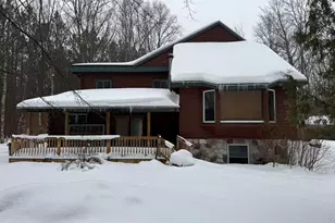 2772 Skidmore Rd, Brethren, MI 49619 - Photo 1