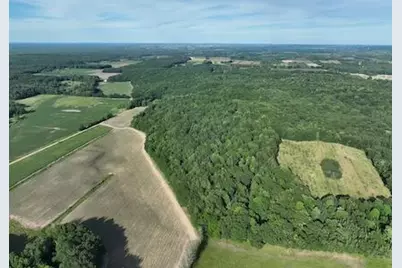 00 V/L Amber Rd., Mears, MI 49436 - Photo 2