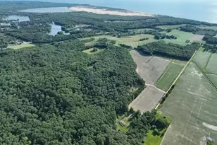 00 V/L Amber Rd, Mears, MI 49436 - Photo 1