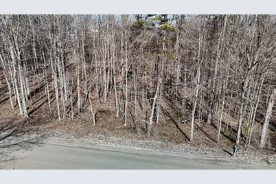 0 Willow Rd, Saline, MI 48176 - Photo 6