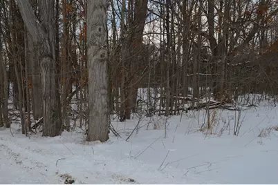 0 Willow Rd, Saline, MI 48176 - Photo 20