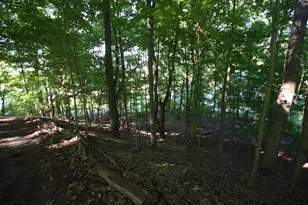 24 Heron Ct, Plainwell, MI 49080 - Photo 46