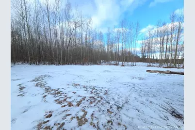 2815 E Monroe Street, White Cloud, MI 49349 - Photo 6