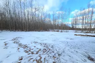 2815 E Monroe St, White Cloud, MI 49349 - Photo 6