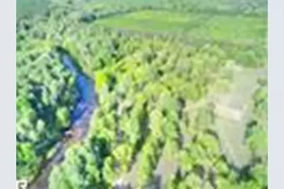 Wallin Road, Thompsonville, MI 49683 - Photo 4