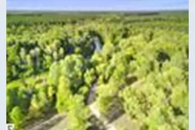 Wallin Road, Thompsonville, MI 49683 - Photo 22