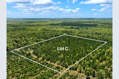 Wallin Road, Thompsonville, MI 49683 - Photo 10