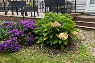 28860 Sarabyn St, Dowagiac, MI 49047 - Photo 34