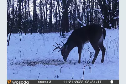 Vl Mud Lake Rd, Bellevue, MI 49021 - Photo 48