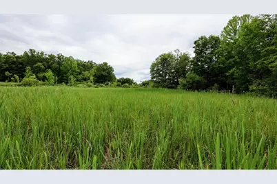 Vl Mud Lake Rd, Bellevue, MI 49021 - Photo 26