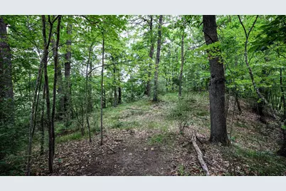 Vl Mud Lake Rd, Bellevue, MI 49021 - Photo 40