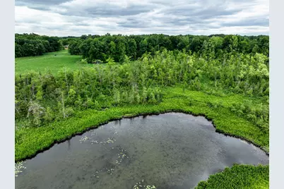 Vl Mud Lake Rd, Bellevue, MI 49021 - Photo 8