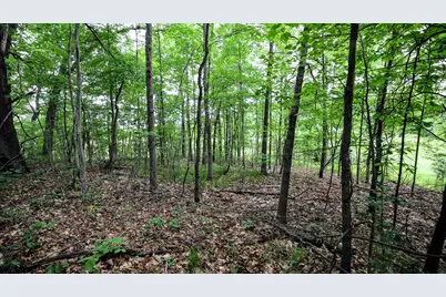 Vl Mud Lake Rd, Bellevue, MI 49021 - Photo 44