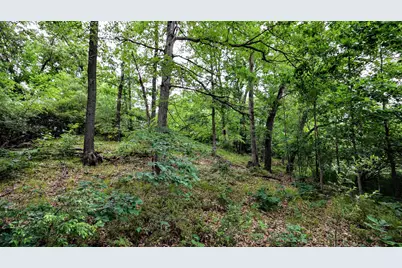 Vl Mud Lake Rd, Bellevue, MI 49021 - Photo 20