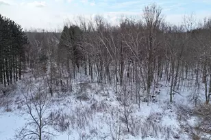 6182 Hamilton Rd, Harrison, MI 48625 - Photo 18