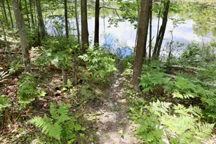 6182 Hamilton Rd, Harrison, MI 48625 - Photo 22