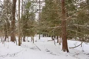 6182 Hamilton Rd, Harrison, MI 48625 - Photo 36