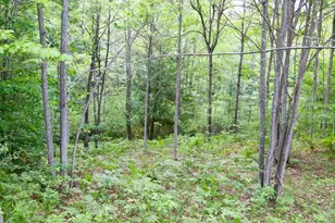 6182 Hamilton Rd, Harrison, MI 48625 - Photo 40