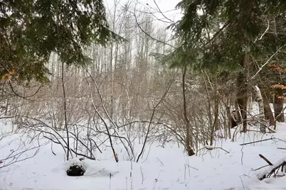 6182 Hamilton Road, Harrison, MI 48625 - Photo 38