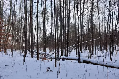 6182 Hamilton Road, Harrison, MI 48625 - Photo 44