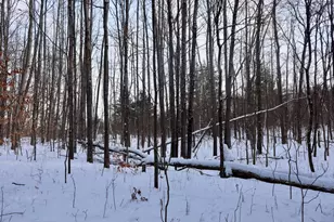 6182 Hamilton Rd, Harrison, MI 48625 - Photo 44