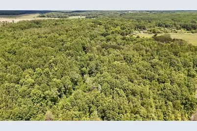 6182 Hamilton Road, Harrison, MI 48625 - Photo 74