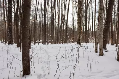 6182 Hamilton Road, Harrison, MI 48625 - Photo 30