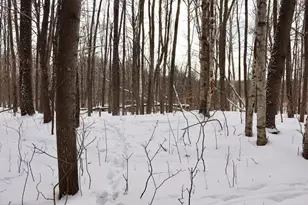 6182 Hamilton Rd, Harrison, MI 48625 - Photo 30