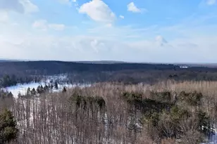 6182 Hamilton Rd, Harrison, MI 48625 - Photo 4