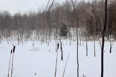 6182 Hamilton Road, Harrison, MI 48625 - Photo 6