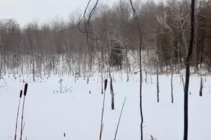 6182 Hamilton Rd, Harrison, MI 48625 - Photo 6