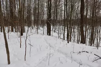 6182 Hamilton Road, Harrison, MI 48625 - Photo 32