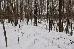 6182 Hamilton Rd, Harrison, MI 48625 - Photo 32