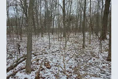 V/L Bronson Avenue, Plainwell, MI 49080 - Photo 10