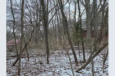 V/L Bronson Avenue, Plainwell, MI 49080 - Photo 36