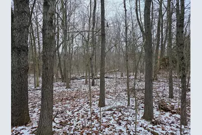 V/L Bronson Avenue, Plainwell, MI 49080 - Photo 30