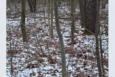 V/L Bronson Avenue, Plainwell, MI 49080 - Photo 34