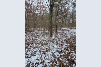 V/L Bronson Avenue, Plainwell, MI 49080 - Photo 24