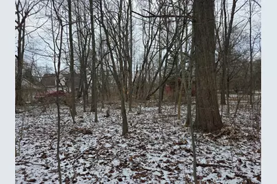 V/L Bronson Avenue, Plainwell, MI 49080 - Photo 14