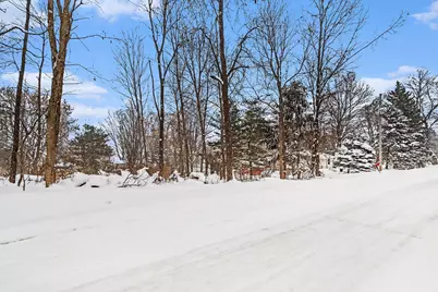 V/L Guernsey Lake Road, Delton, MI 49046 - Photo 6