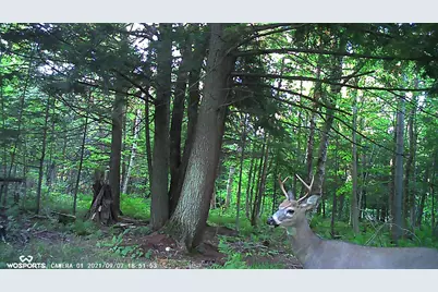 21652 Ridge Road, Grand Marais, MI 49839 - Photo 50