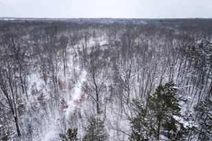 1518 E Wilke Rd, Rothbury, MI 49452 - Photo 32