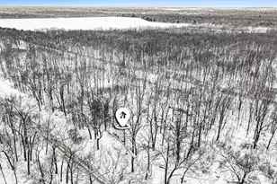 1258 56th St, Fennville, MI 49408 - Photo 32