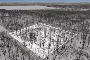 1258 56th St, Fennville, MI 49408 - Photo 34