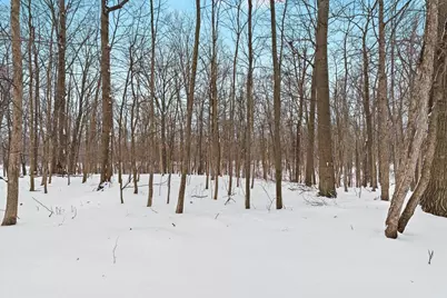 6055 Shaftsburg Road, Williamston, MI 48895 - Photo 36
